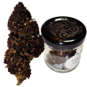 Fleur de CBD Purple - Collection Quintessence | Cultivée en France en glasshouse