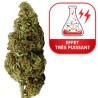 Tropical Kush - THCX