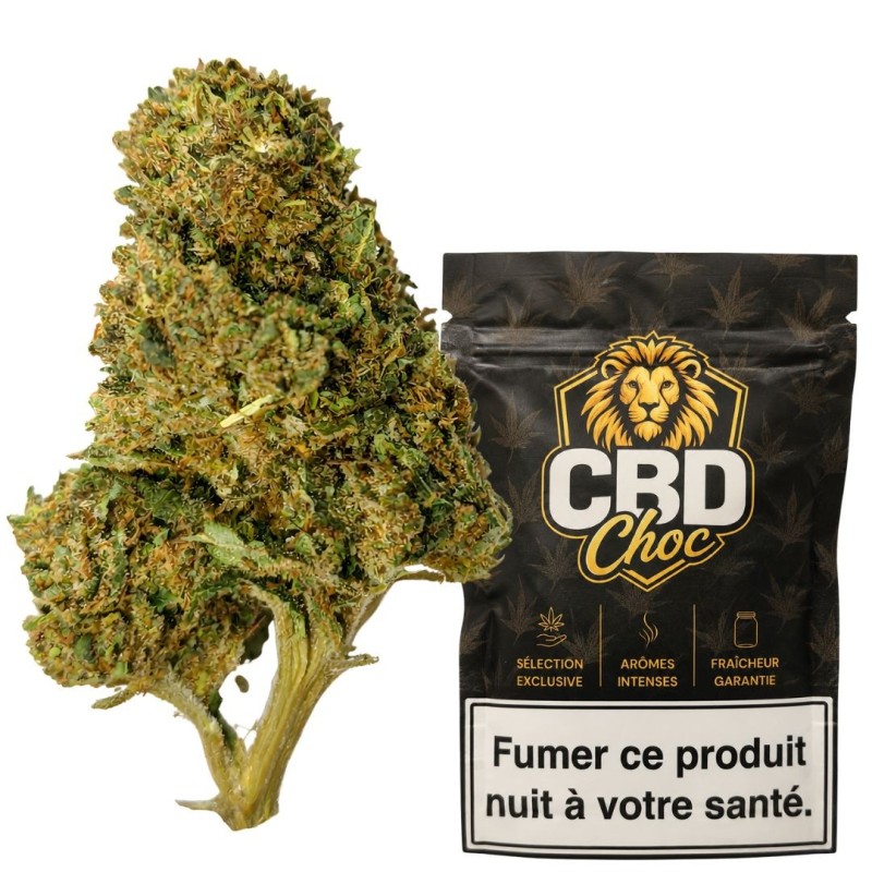 AK 47